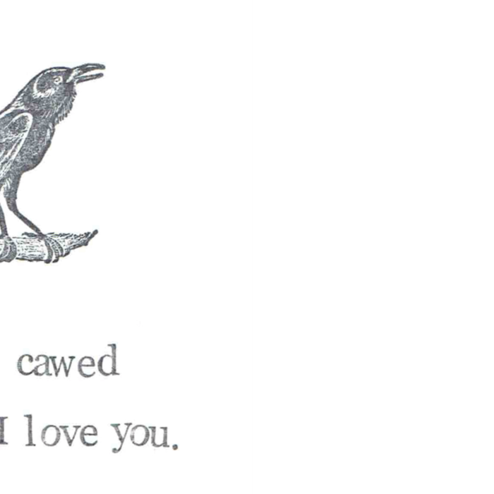 I Just Cawed To Say I Love You Coffee Mug Gallery Image 2