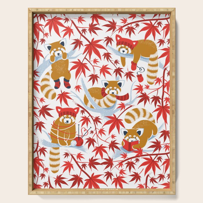 Red panda blending with the foliage // white background desert sun brown cozy animals fog blue tree branches red acer leaves Serving Tray Gallery Image 1