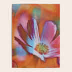 Sweetly Poster Gallery Image 4