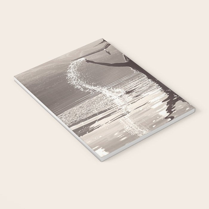 Water wings plane landing on mountain lake female portrait black and white photograph - photography - photographs Notebook Gallery Image 3