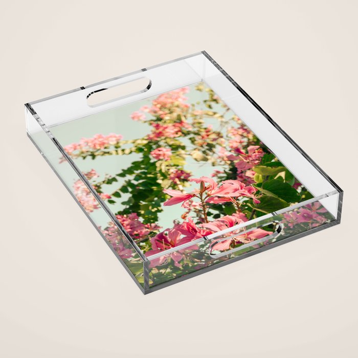 Beauty Queens Acrylic Tray Gallery Image 1