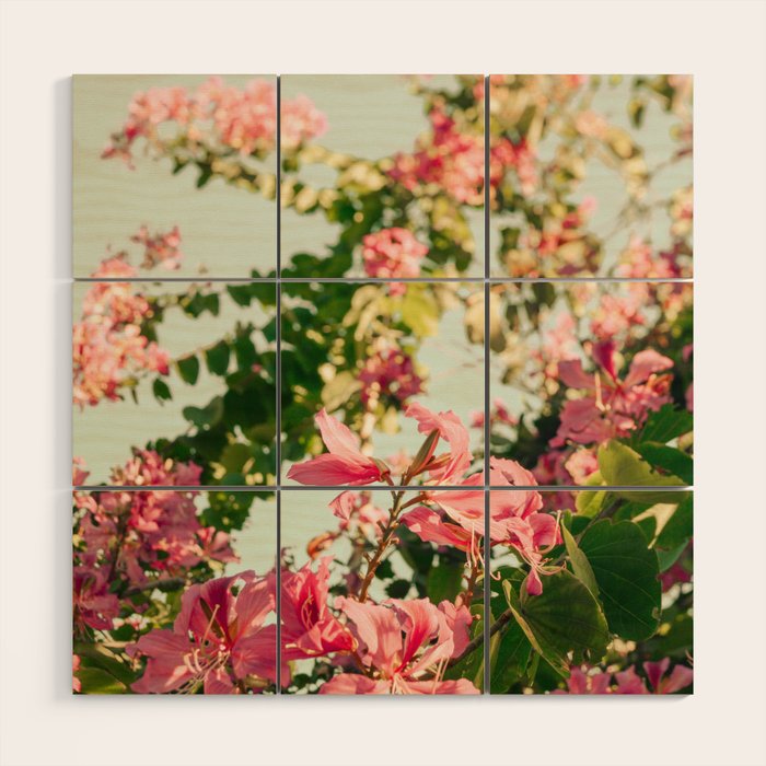 Beauty Queens Wood Wall Art Gallery Image 1