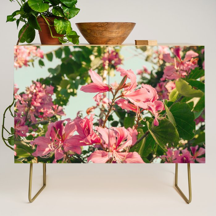 Beauty Queens Credenza Gallery Image 1