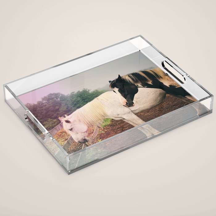 Guardian Acrylic Tray Gallery Image 1