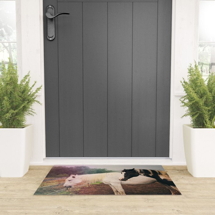 Guardian Welcome Mat Gallery Image 3
