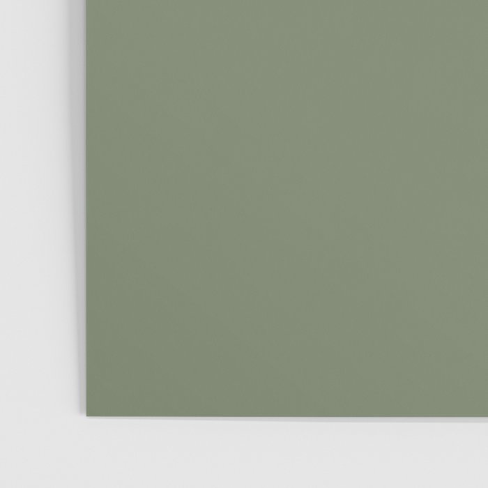 Khaki Green Solid Color Poster Gallery Image 3