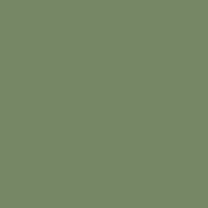 Khaki Green Solid Color Coffee Mug Gallery Image 2