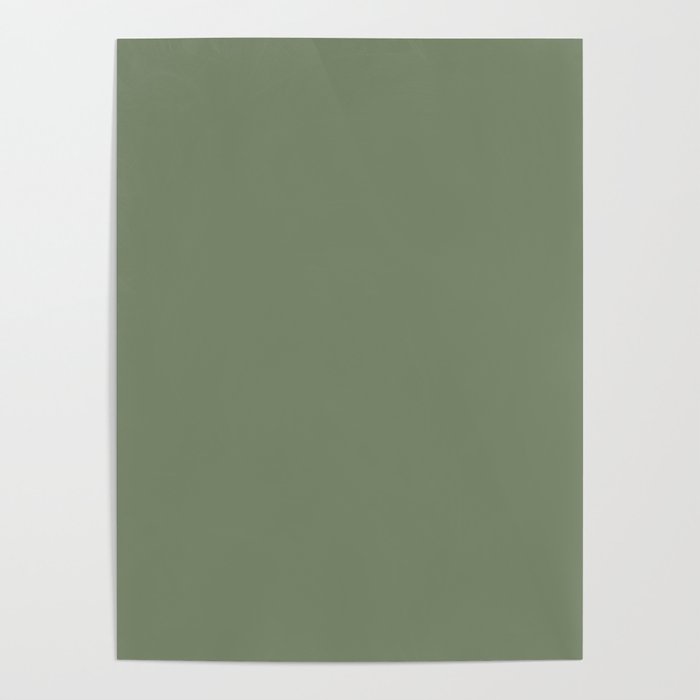 Khaki Green Solid Color Poster Gallery Image 1