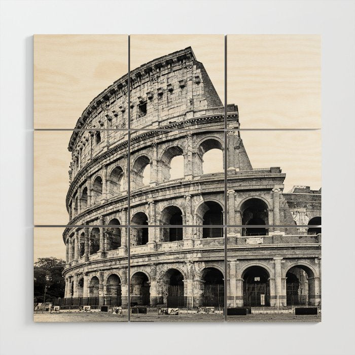 Colosseum Rome Black and White Wood Wall Art Gallery Image 1