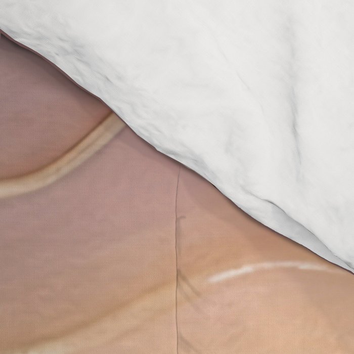 Desert Sky Comforter Gallery Image 4
