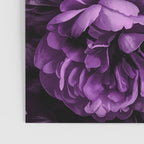 Midnight Garden Baroque Blooms Plum Blue Poster Gallery Image 3