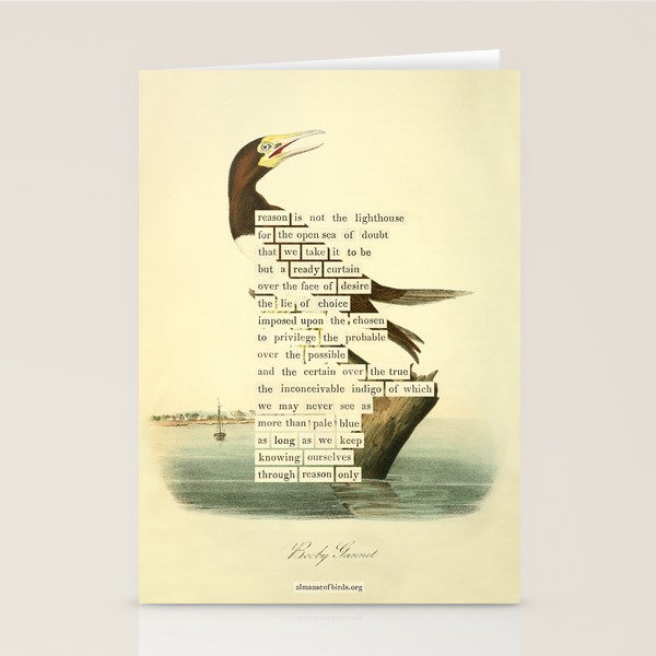 Booby Gannet from 'An Almanac of Birds - Divinations for Uncertain Days' (almanacofbirds.org) Stationery Card Gallery Image 1