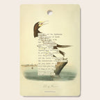 Booby Gannet from 'An Almanac of Birds - Divinations for Uncertain Days' (almanacofbirds.org) Cutting Board Gallery Image 1