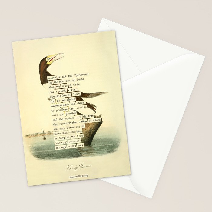 Booby Gannet from 'An Almanac of Birds - Divinations for Uncertain Days' (almanacofbirds.org) Stationery Card Gallery Image 2