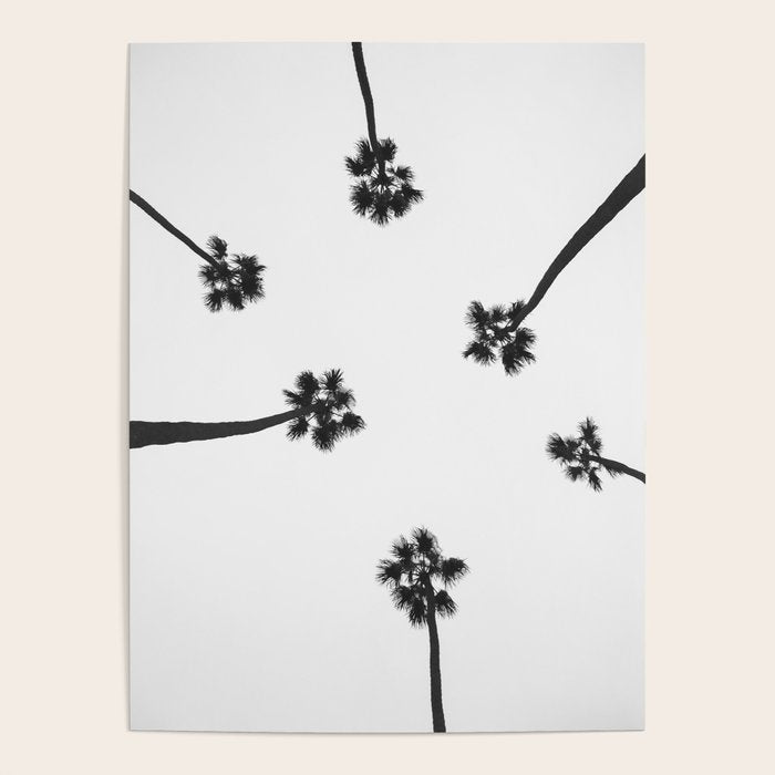 Black and white palms photo Poster Gallery Image 4