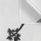 Black and white palms photo Wall Tapestry Gallery Image 3