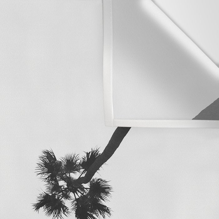 Black and white palms photo Wall Tapestry Gallery Image 3