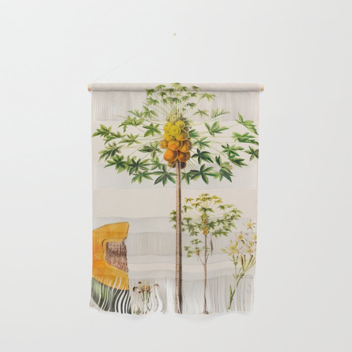 Papaya from "Flore dâAmÃ©rique" by Ãtienne Denisse, 1840s Wall Hanging Gallery Image 1