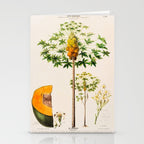 Papaya from "Flore dâAmÃ©rique" by Ãtienne Denisse, 1840s Stationery Card Gallery Image 2