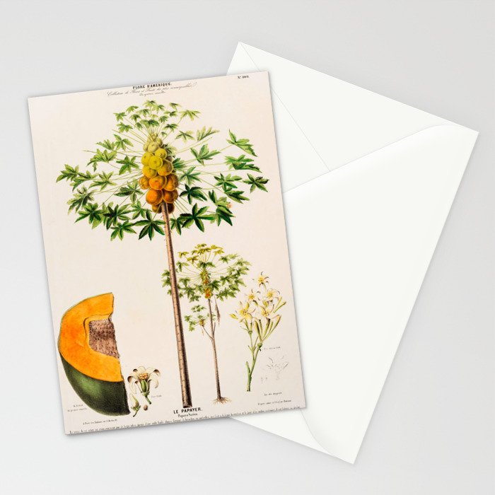 Papaya from "Flore dâAmÃ©rique" by Ãtienne Denisse, 1840s Stationery Card Gallery Image 2