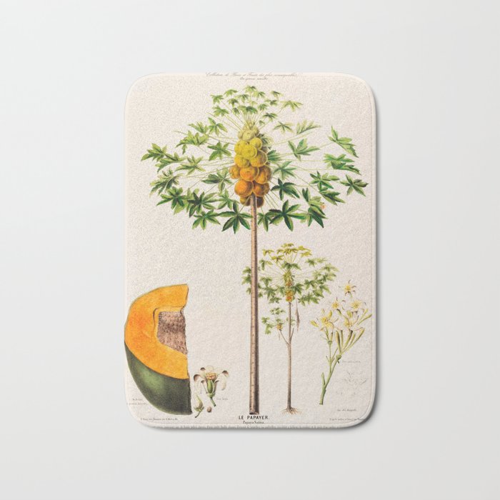 Papaya from "Flore dâAmÃ©rique" by Ãtienne Denisse, 1840s Bath Mat Gallery Image 1
