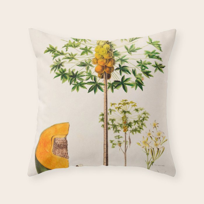 Papaya from "Flore dâAmÃ©rique" by Ãtienne Denisse, 1840s Throw Pillow Gallery Image 1