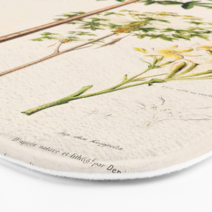 Papaya from "Flore dâAmÃ©rique" by Ãtienne Denisse, 1840s Bath Mat Gallery Image 3