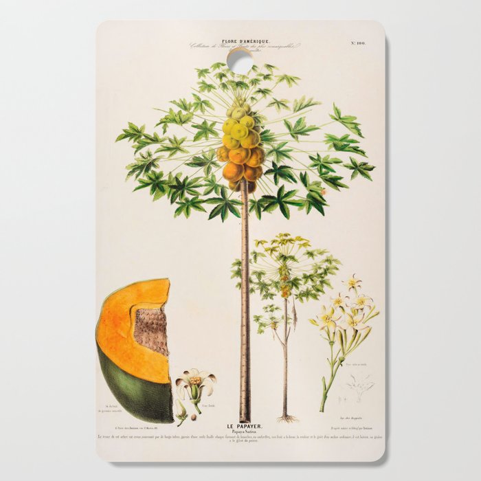 Papaya from "Flore dâAmÃ©rique" by Ãtienne Denisse, 1840s Cutting Board Gallery Image 1