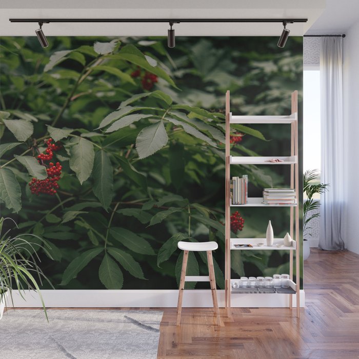 Red Elderberry Wall Mural Gallery Image 1