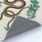 Albertus Seba Three Snakes Illustration Locupletissimi rerum naturalium thesauri accurata descriptio Rug Gallery Image 4