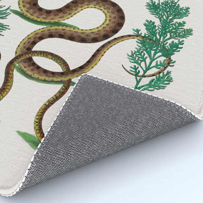 Albertus Seba Three Snakes Illustration Locupletissimi rerum naturalium thesauri accurata descriptio Rug Gallery Image 4