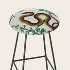 Albertus Seba Three Snakes Illustration Locupletissimi rerum naturalium thesauri accurata descriptio Stool Gallery Image 2