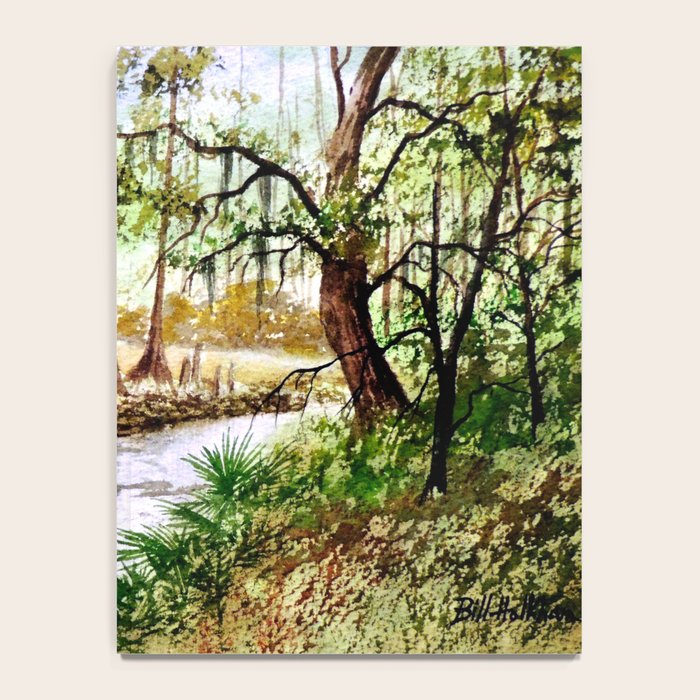 Sopchoppy River Florida Notebook Gallery Image 4