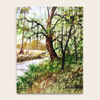 Sopchoppy River Florida Notebook Gallery Image 4