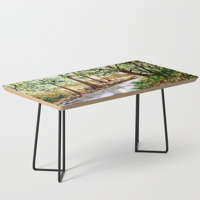 Sopchoppy River Florida Coffee Table Gallery Image 1
