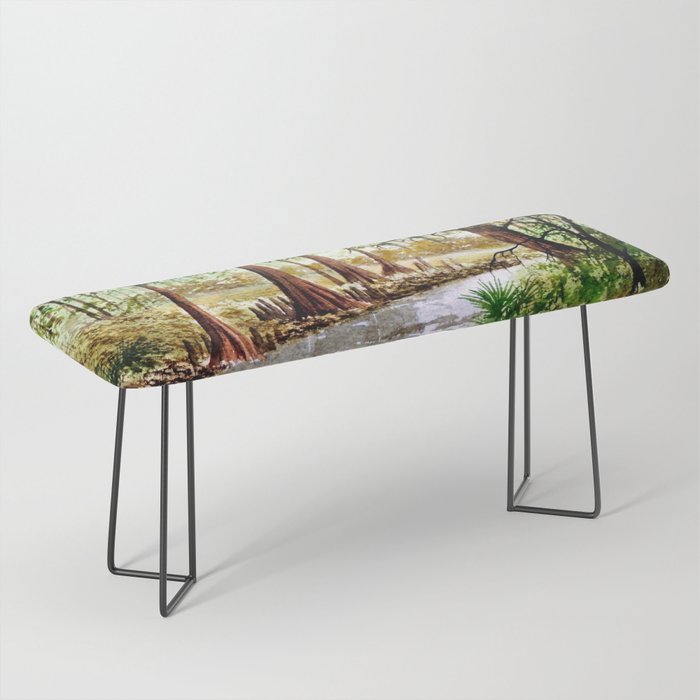 Sopchoppy River Florida Bench Gallery Image 1