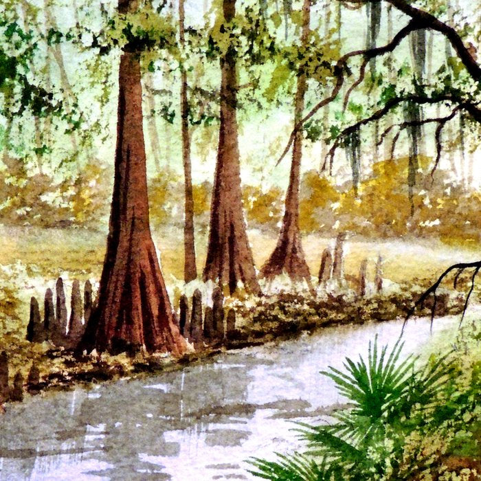 Sopchoppy River Florida Coffee Mug Gallery Image 2