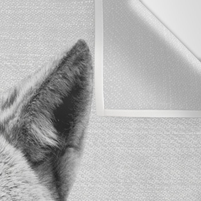 Coyote - Black & White Wall Tapestry Gallery Image 3