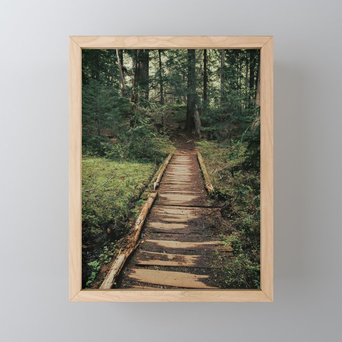 Follow Me II Mini Art Print Gallery Image 1