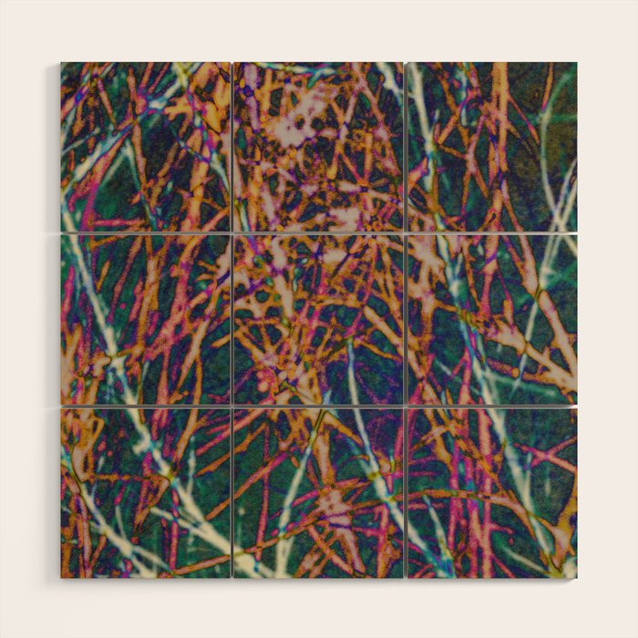 Hypernature 2 Wood Wall Art Gallery Image 1