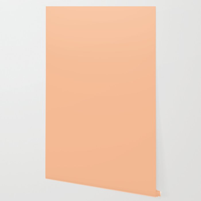 Peachy Apricot Solid Color Wallpaper Gallery Image 2