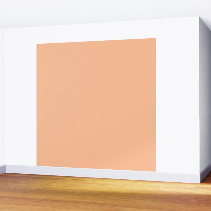 Peachy Apricot Solid Color Wall Mural Gallery Image 2