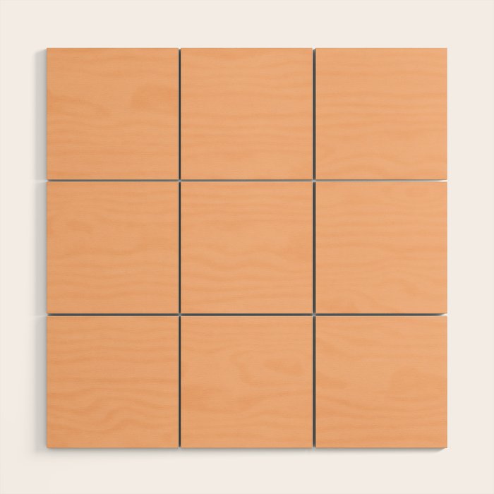 Peachy Apricot Solid Color Wood Wall Art Gallery Image 1