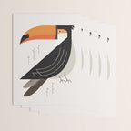Toucan, Bird of South America Wrapping Paper Gallery Image 3
