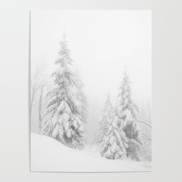 Snow Covered Winter Pine Trees Poster Gallery Image 4