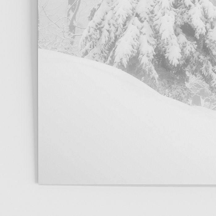 Snow Covered Winter Pine Trees Poster Gallery Image 3