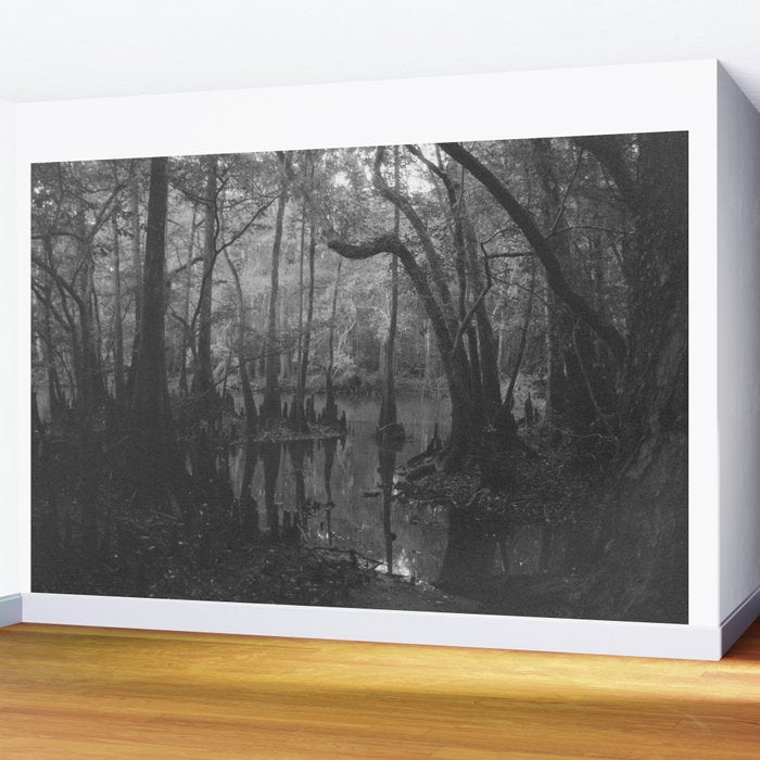 Florida Swamp Wall Mural Gallery Image 2