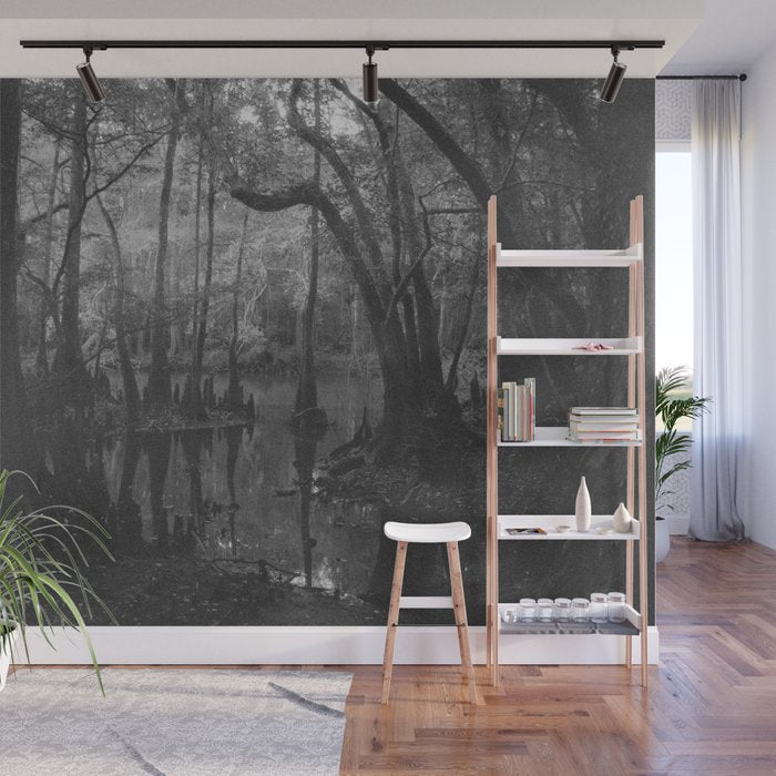 Florida Swamp Wall Mural Gallery Image 1