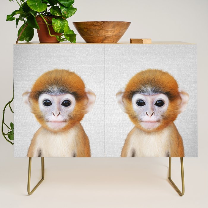 Baby Monkey - Colorful Credenza Gallery Image 1