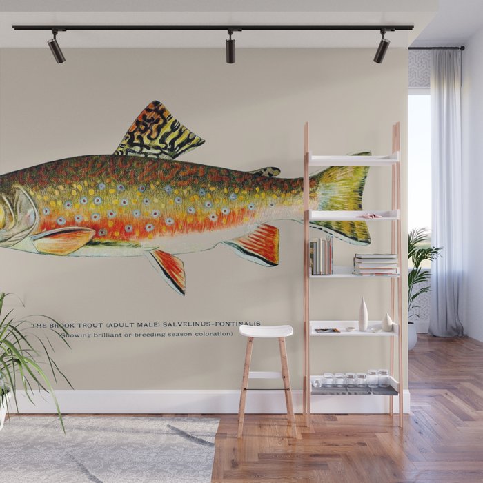 Brook Trout Wall Mural Gallery Image 1